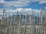 Clouds over Mountain
