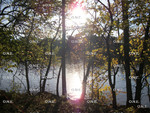 Griggs Reservoir