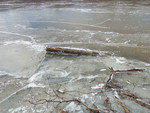 Frozen Water Driftwood