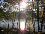 Griggs Reservoir