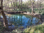 Reflections in Water
