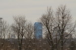 Dwarfed By Trees