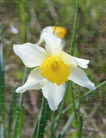 Spring is Here