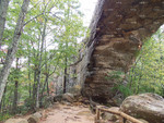 The Bridge Above