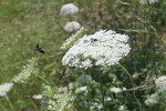 Two on Landing Pad, Two En Route
