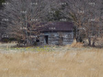 Homestead
