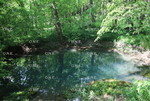 Spring Reflections