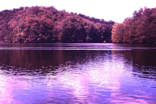 Print Size: 12" X 14"