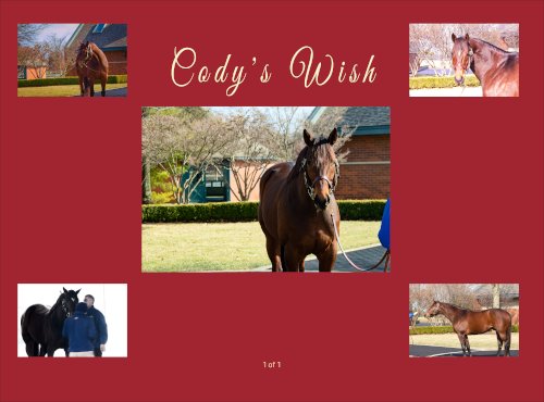 Cody’s Wish: An Equine Tribute