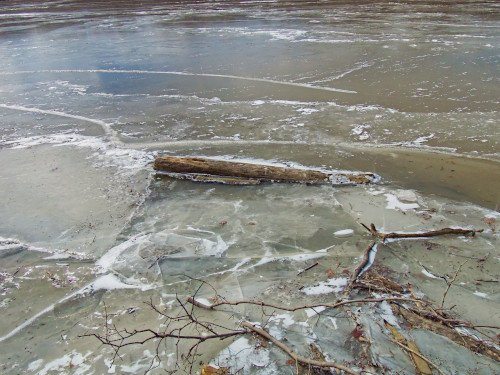Frozen Water Driftwood