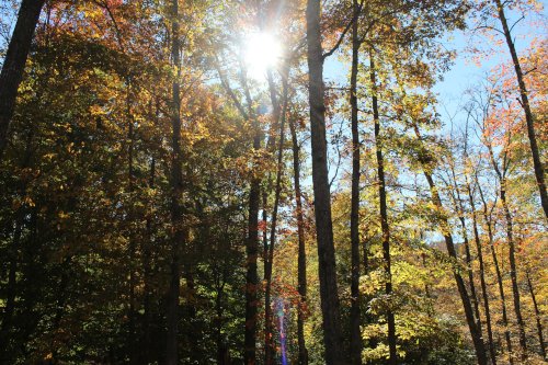 Print Size: 12" X 14"