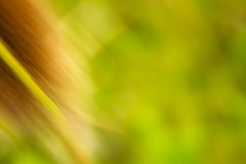 Multiple Colors in Motion