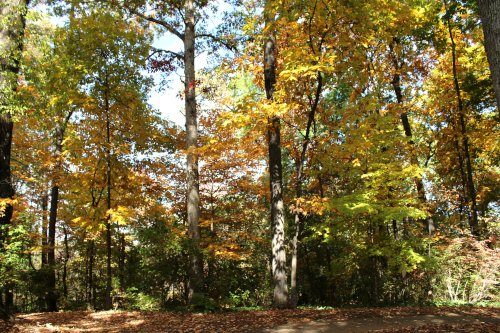 Print Size: 12" X 14"